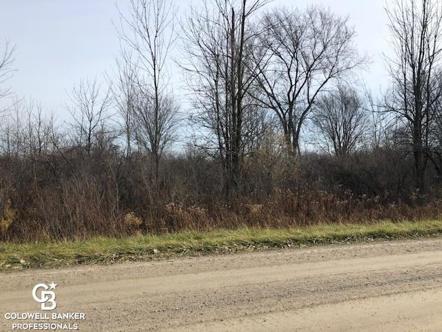 Listing Photo for 00 Cowhy Rd. Parcel 