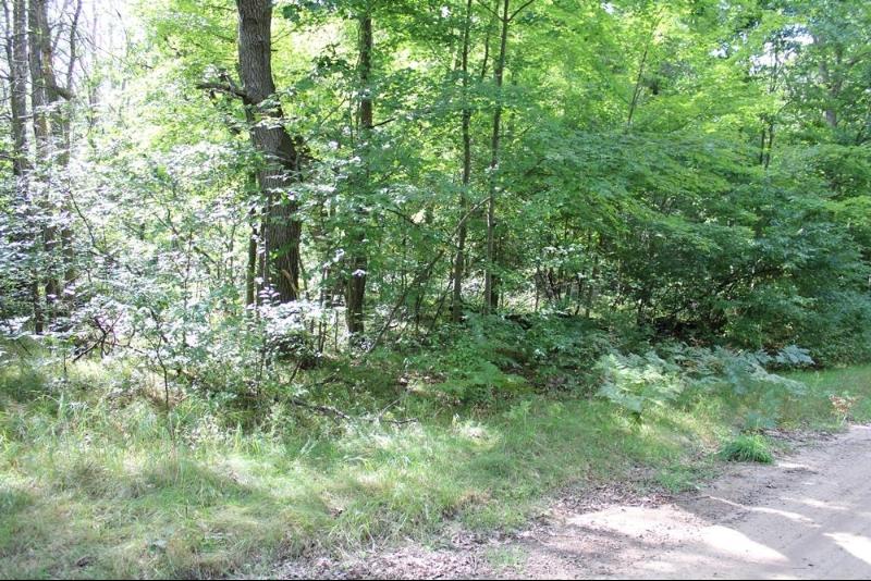 Listing Photo for LOT 1020 Teaberry