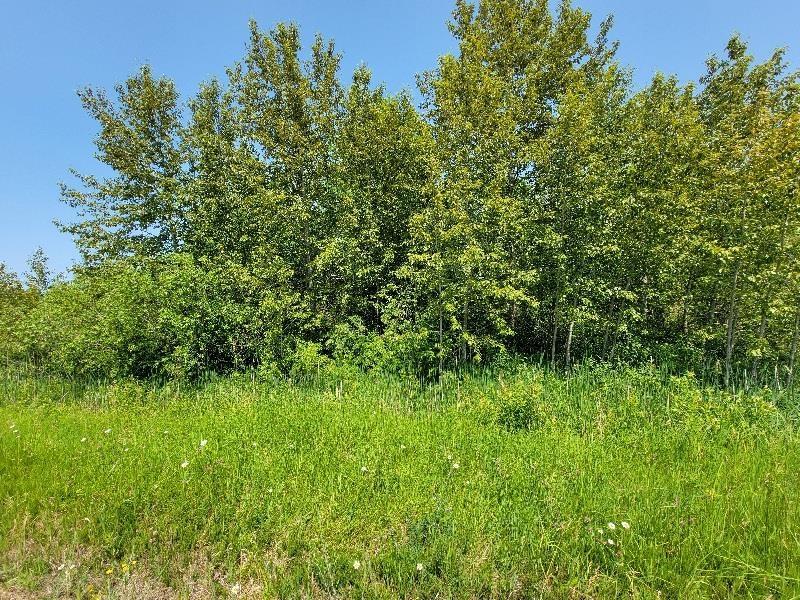 Listing Photo for LOT # 107 Dundee
