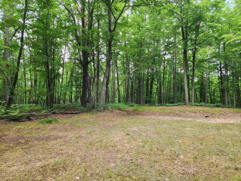 Listing Photo for 2556 Spruce (lot 991)