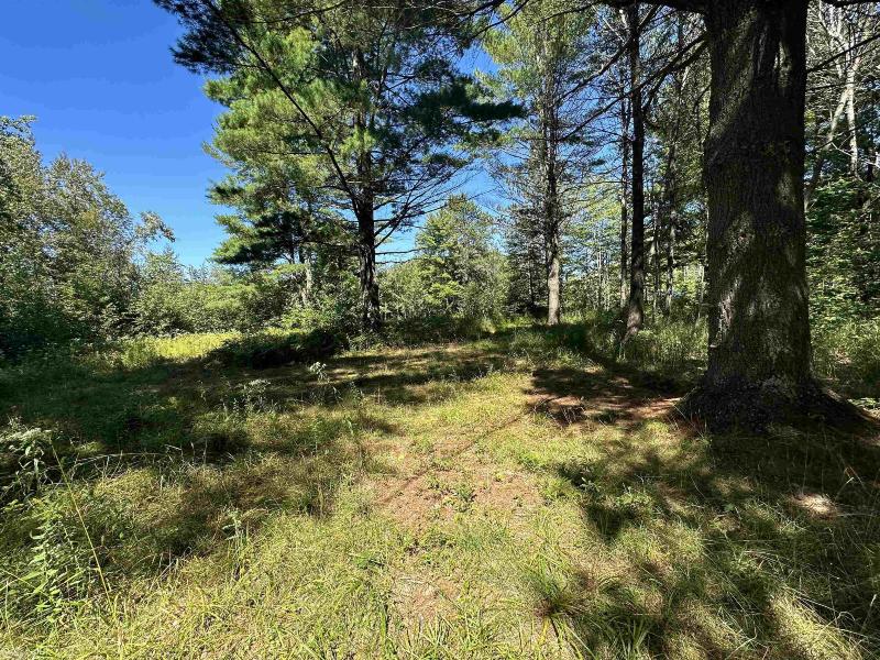 Listing Photo for 0 Long Lake Rd