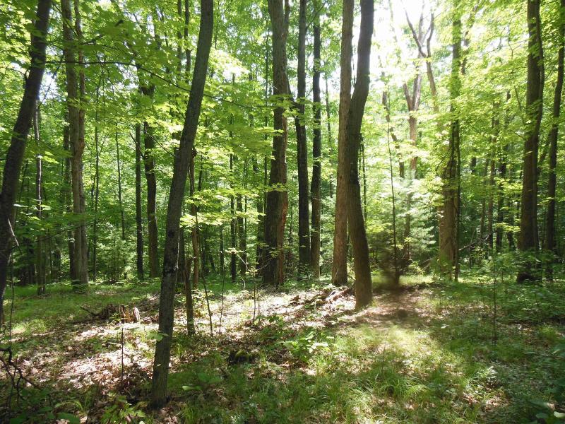 Listing Photo for 5 ACRES Blanche