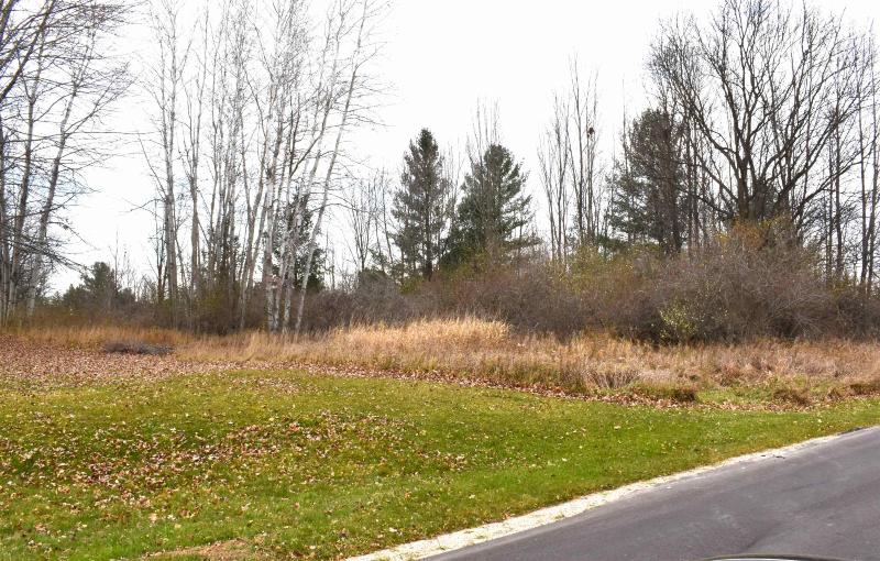 Listing Photo for LOT 264 Linksview