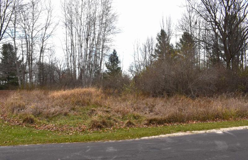 Listing Photo for LOT 264 Linksview