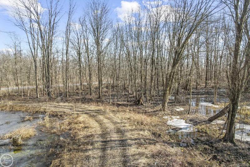 Listing Photo for 4716 County Line