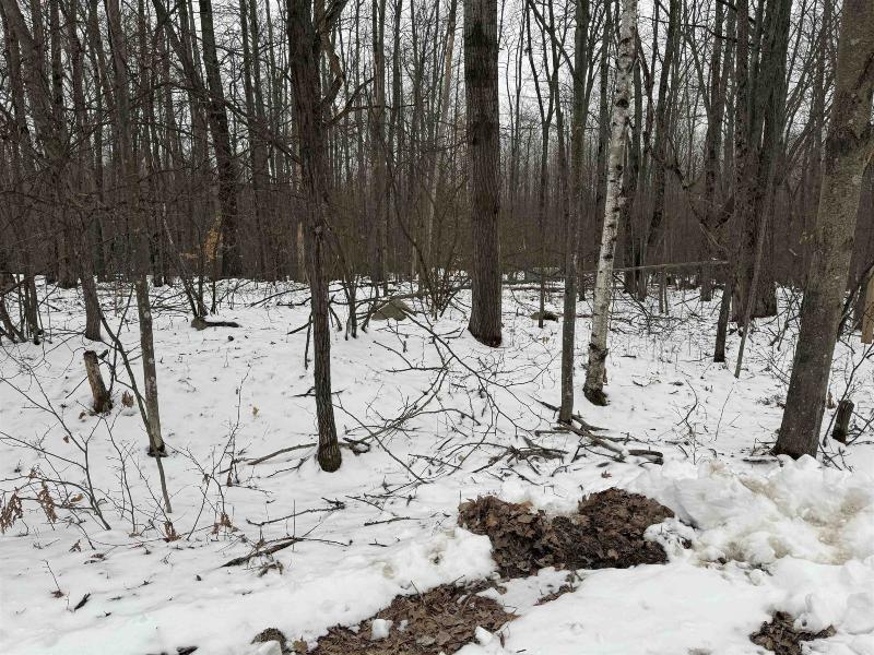 Listing Photo for LOT 1284 Red Fox Run