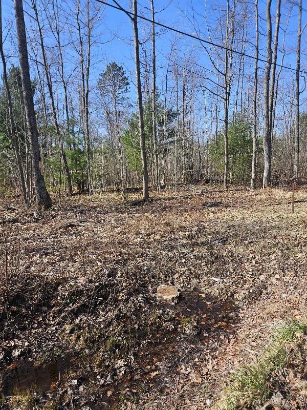 Listing Photo for LOT 1,2,3,4 Southwood