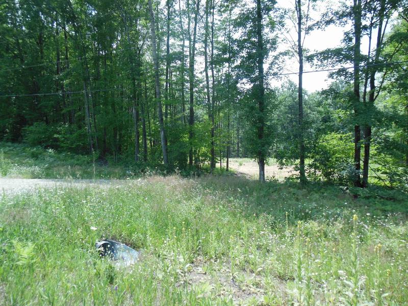 Listing Photo for 4.73 ACRES W M-61