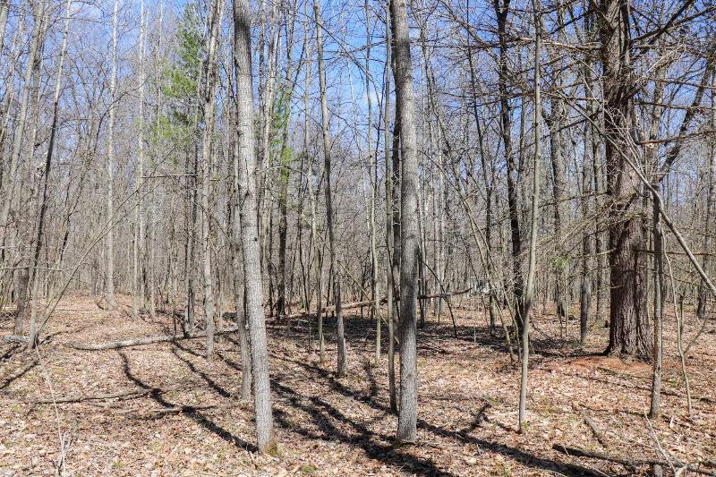 Listing Photo for 40 Acres Drummond