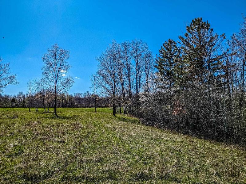 Listing Photo for 40 ACRES S Athey