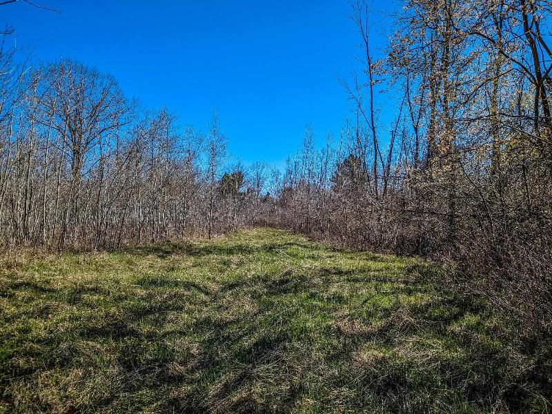 Listing Photo for 40 ACRES S Athey