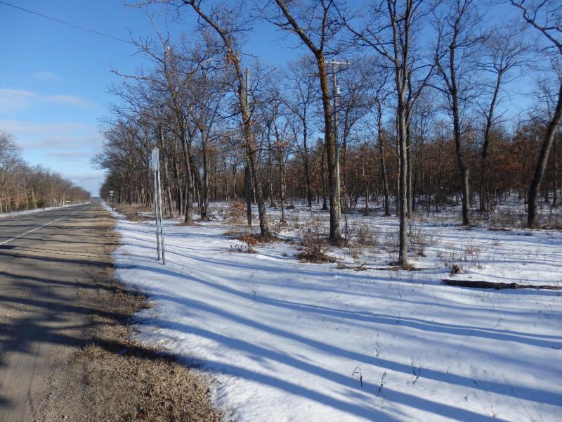Listing Photo for 40 Acres M-55