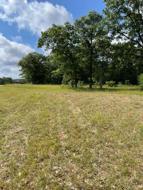 Listing Photo for 70.66 Acres M-55