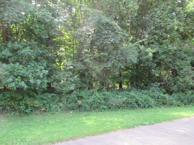 Listing Photo for TRACT 1 Deep Woods Drive