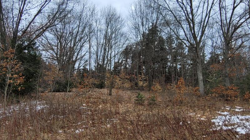 Listing Photo for LOT Meadow View Lane