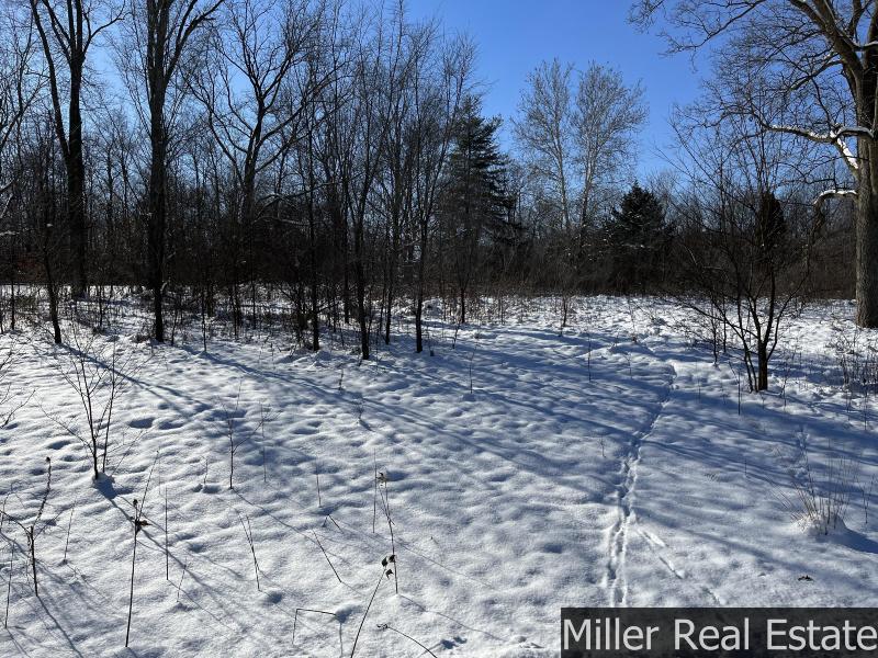 Listing Photo for 364 S M-37 Highway
