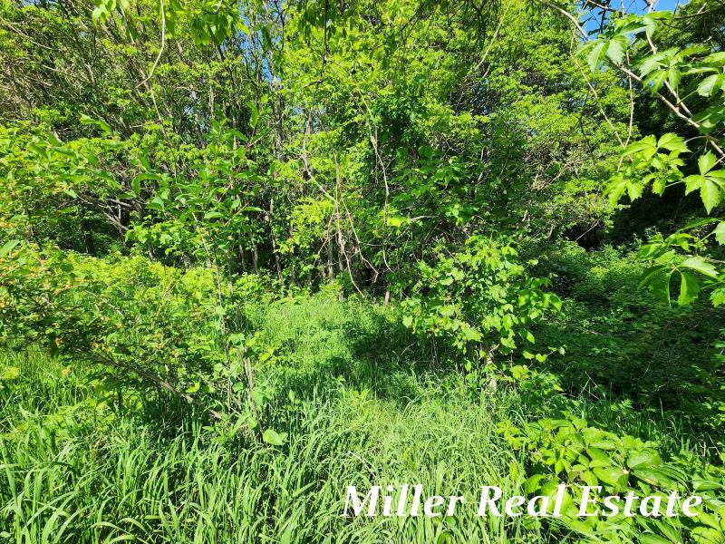 Listing Photo for 1500 Star School Road