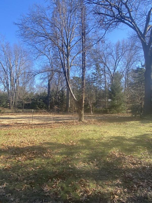 Listing Photo for 16527 Gowdy Parkway LOT 78