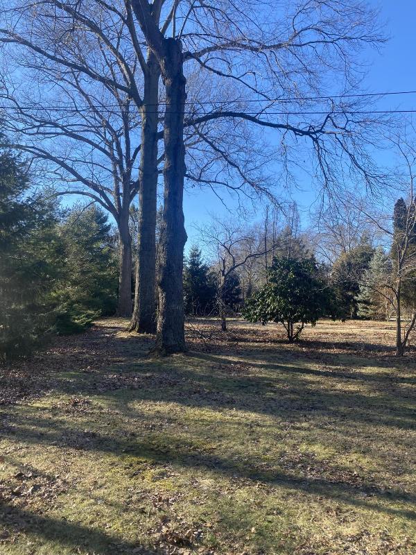 Listing Photo for 16527 Gowdy Parkway LOT 78