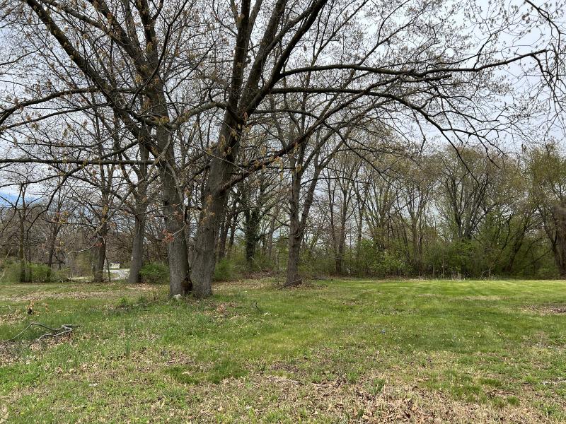 Listing Photo for 01 Donald Atkins Drive