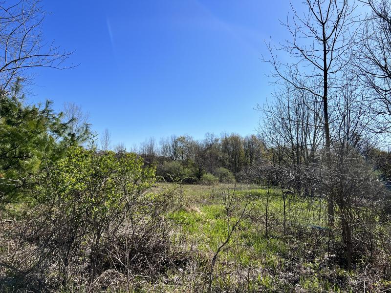 Listing Photo for 8249 Parcel A M-139