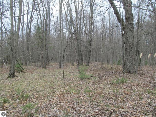 Listing Photo for LOT 9 W Blue Road