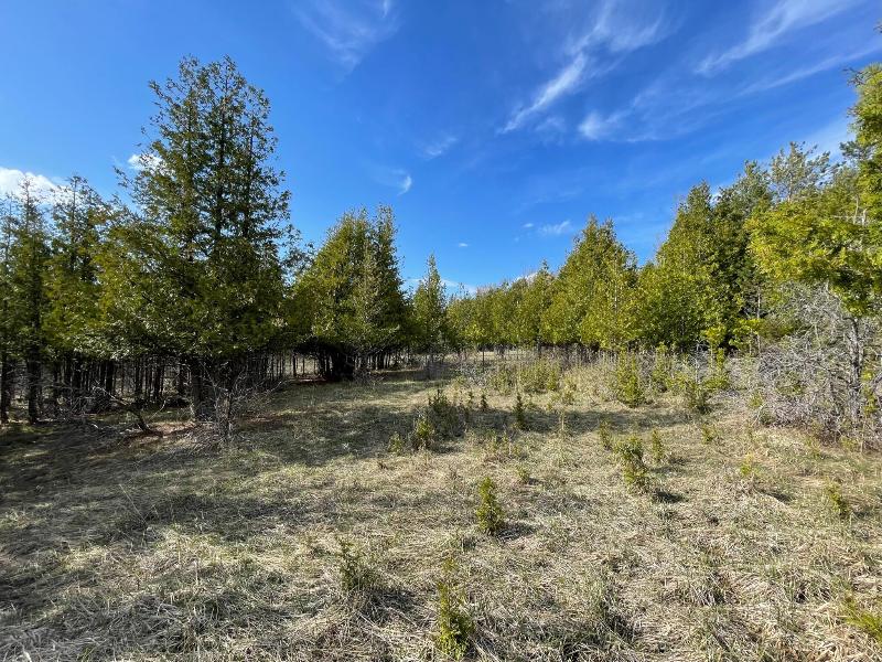 Listing Photo for 10055 Ferry Road