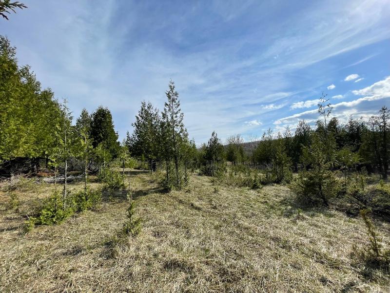 Listing Photo for 10055 Ferry Road