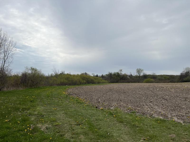 Listing Photo for 6 ACRES W Polk Road