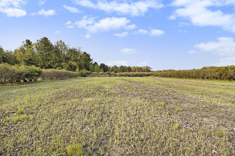 Listing Photo for 5123 W Fisher Road 40 ACRES