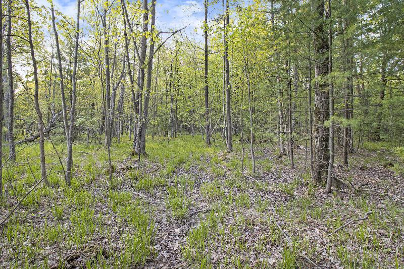 Listing Photo for 5123 W Fisher Road 40 ACRES