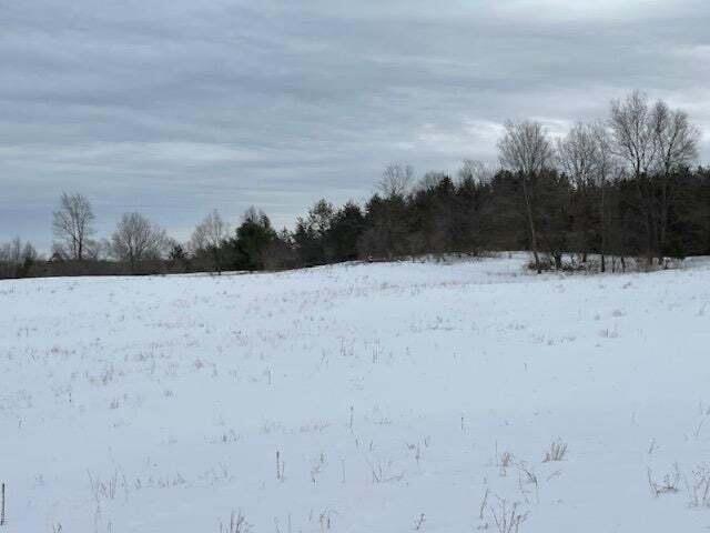 Listing Photo for 65 ACRES M/L State Road