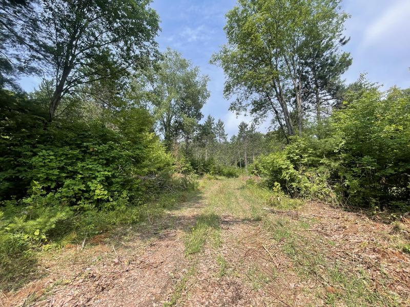 Listing Photo for V/L 80A Mcpherson Road