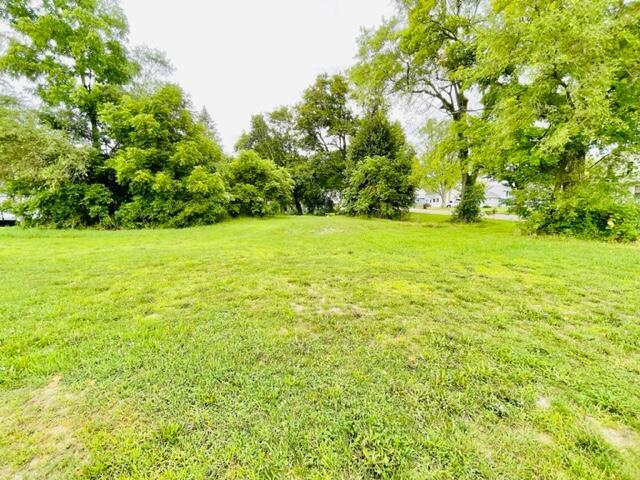 Listing Photo for LOT 1 Ionia Street