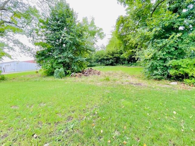 Listing Photo for LOT 1 Ionia Street