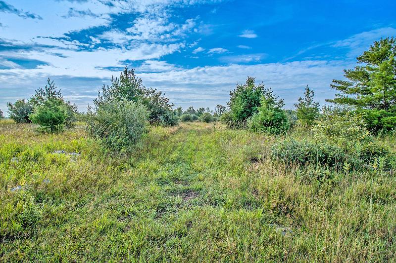 Listing Photo for 100 ACRES Cherry Road