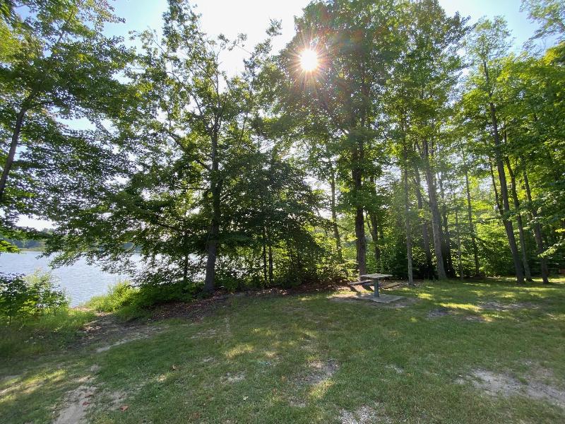 Listing Photo for 314 Yellow Pine Circle