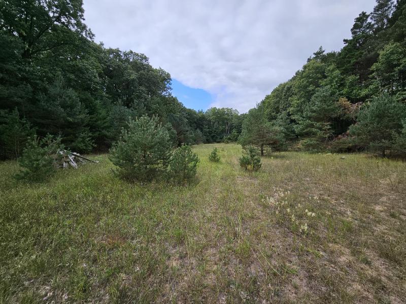 Listing Photo for 9600 Wise Road