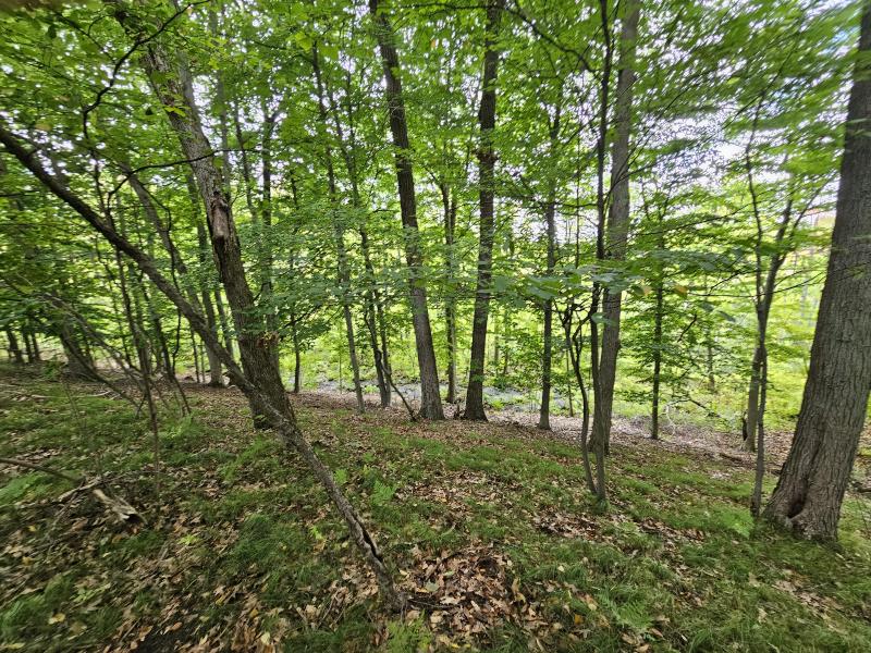 Listing Photo for 9600 Wise Road