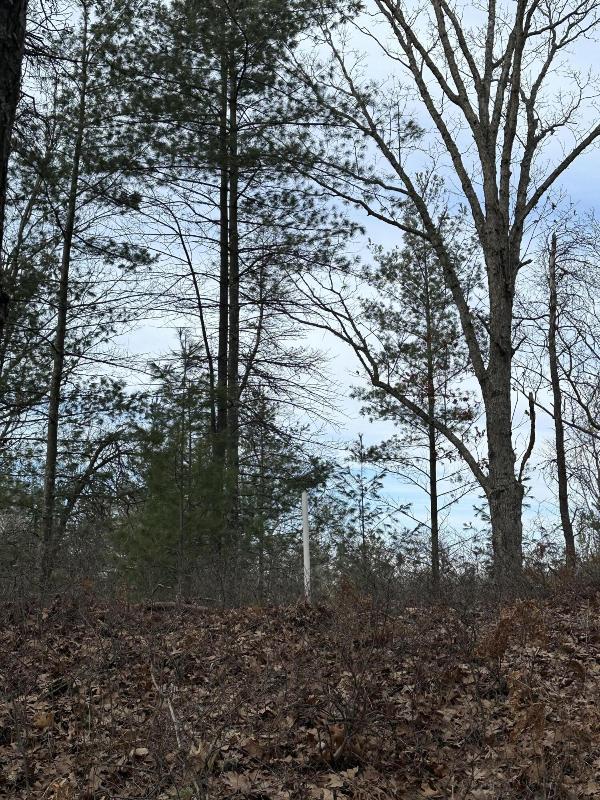 Listing Photo for 4.39 Acres Br Us 31