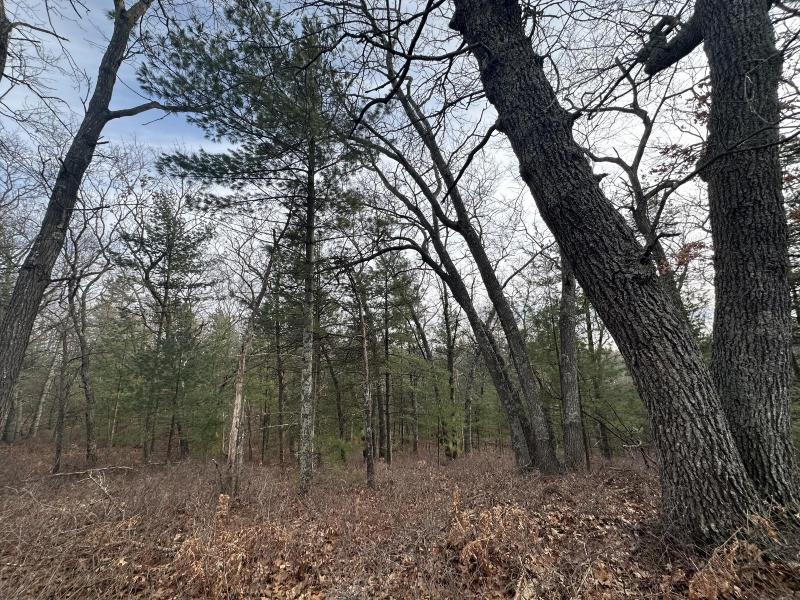 Listing Photo for 4.39 Acres Br Us 31