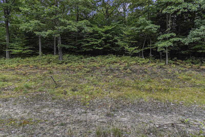 Listing Photo for LOT 10 Pine Street