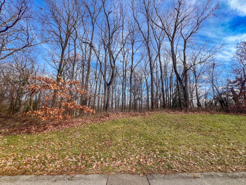 Listing Photo for Butternut Drive LOT #73
