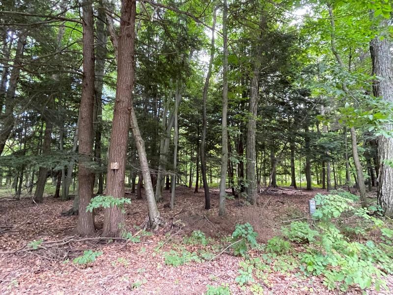 Listing Photo for V/L Forest Lake Drive LOT 34/35