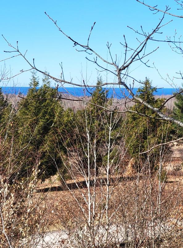Listing Photo for North Slope` Drive LOT 97