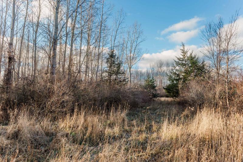 Listing Photo for 6135 133rd Avenue LOT F