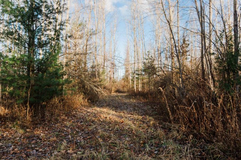 Listing Photo for 6135 133rd Avenue LOT G