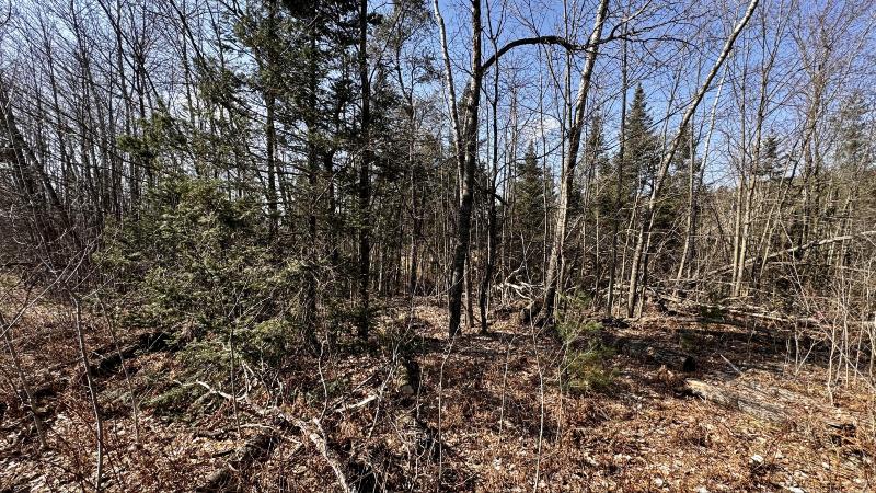 Listing Photo for LOT 29 White Pine Drive