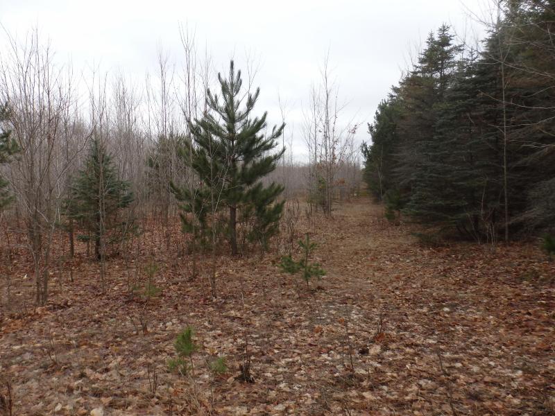Listing Photo for Glovers Lake Road