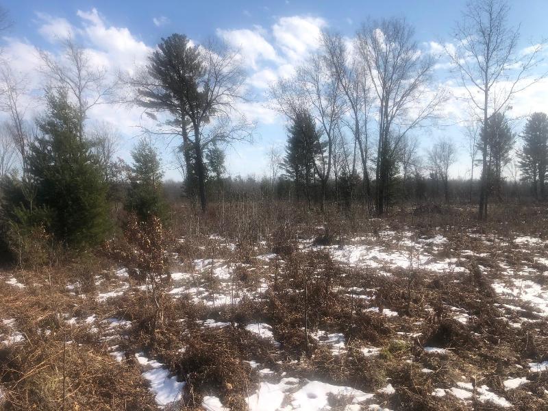 Listing Photo for 58 ACRES Creamery Rd